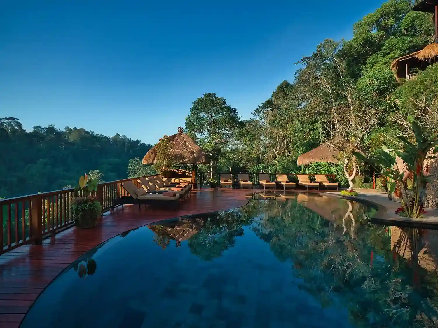 Choosing the Right Escort for an Unforgettable Bali Experience